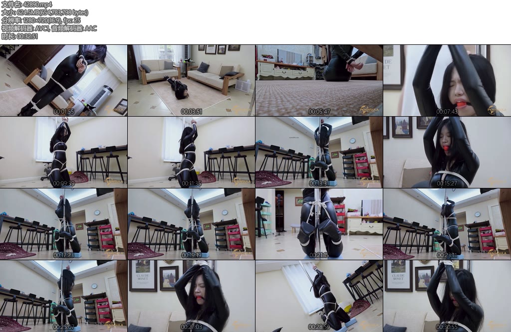 [半岛束艺] 大意失陷的海语探员-丝依依