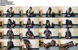 [朱雀雀] Sy第二次访谈-丝依依