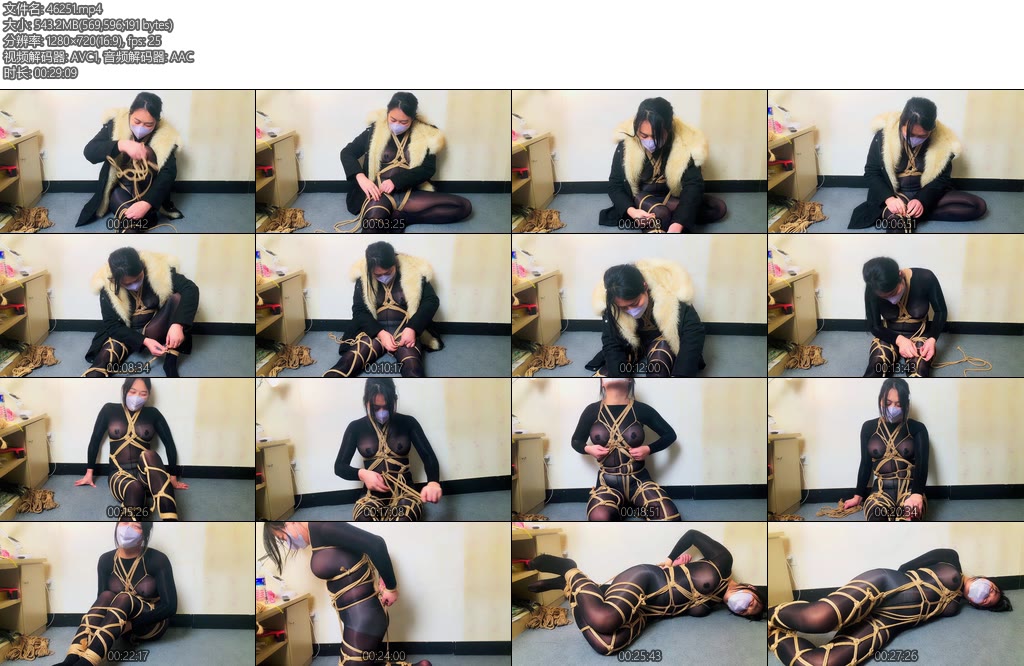 [朱雀雀] Sy第二次访谈-丝依依