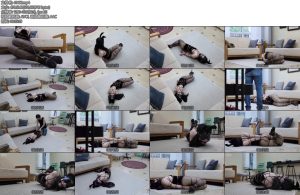 [半岛束艺] 海语白兔还是黑兔-丝依依