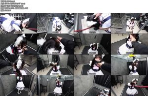 [D-Lemon] 10分メイド拘束喉責め調教complete plan-丝依依