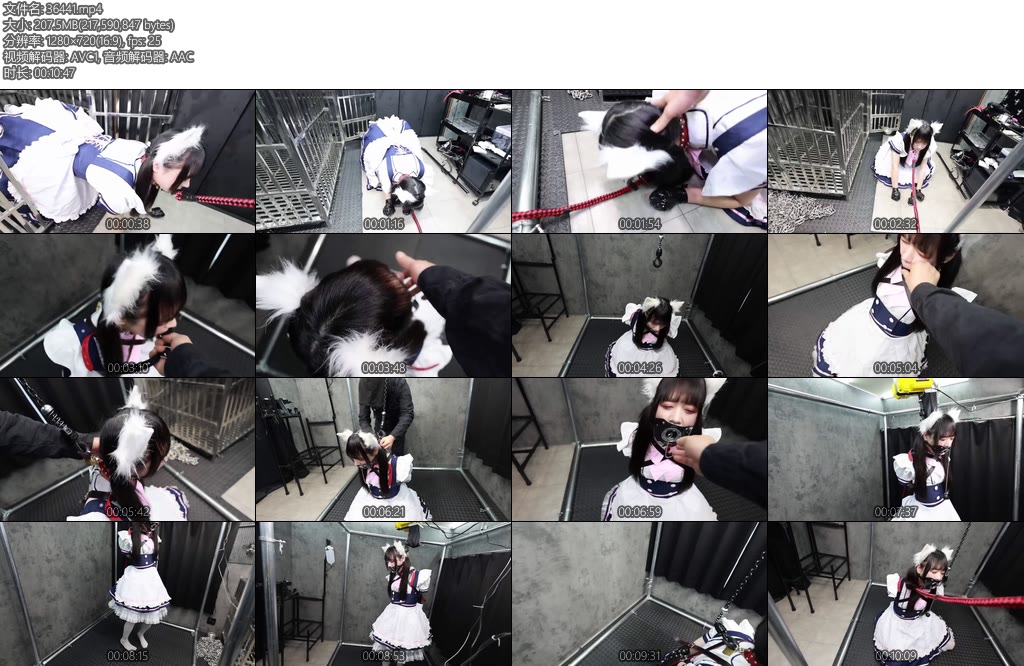 [D-Lemon] 10分メイド拘束喉責め調教complete plan-丝依依