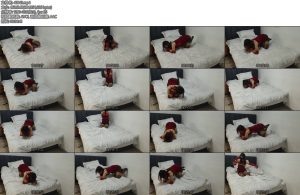 [青缚社] 小鑫犬缚K9爬行-丝依依