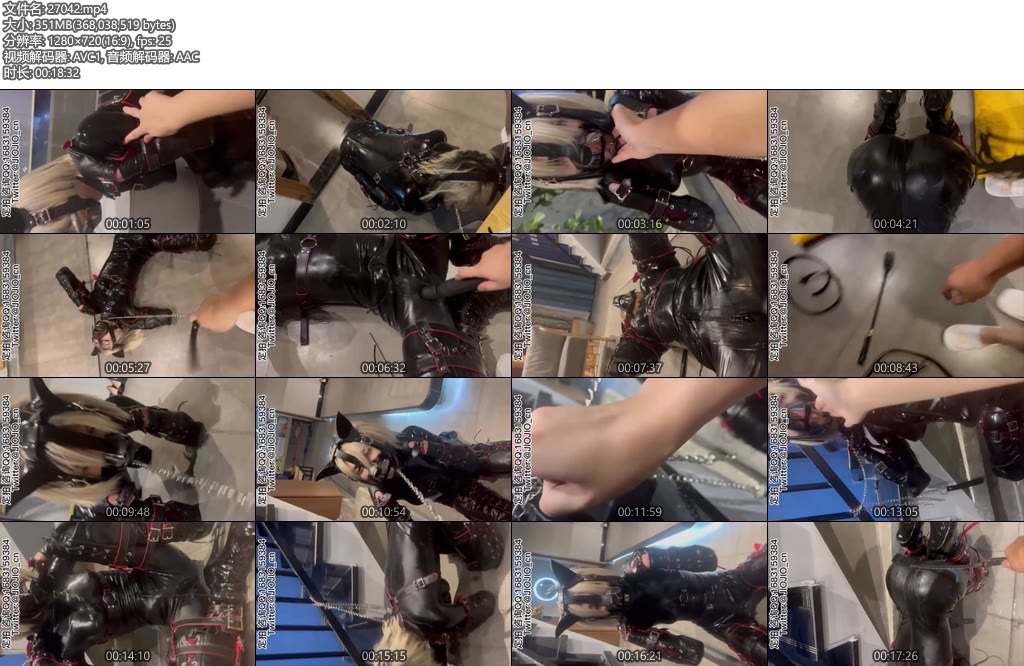 [JIOJIO原创] 胶衣犬奴调教-丝依依