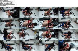 [安安的安] 欣月与安安新人欣月油亮肉丝全包头套严密封堵蜷缩一团极限固定-丝依依