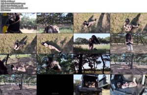 [半岛束艺] 海语护林员-丝依依