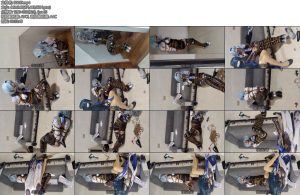 [西风骑士] 优菈小姐紧缚直臂驷马-丝依依