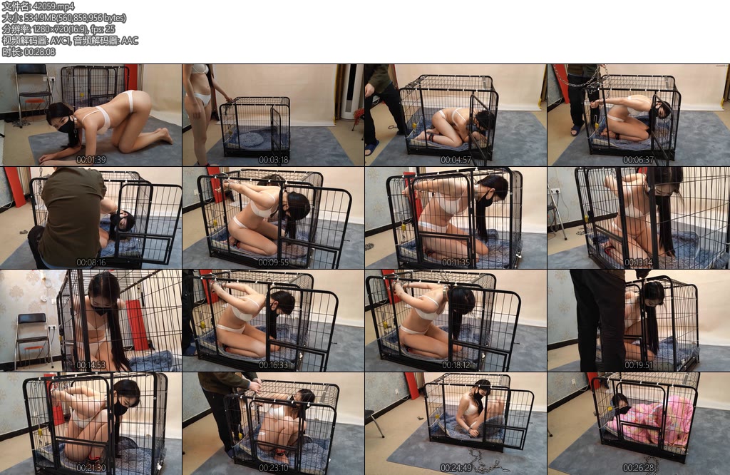 [随心原创] 杨蕊笼中宠物-丝依依