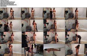 [随心原创] 杨蕊豹纹内衣 五花紧傅股绳-丝依依