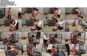 [随心原创] 苏樱 笼中美人拳-丝依依