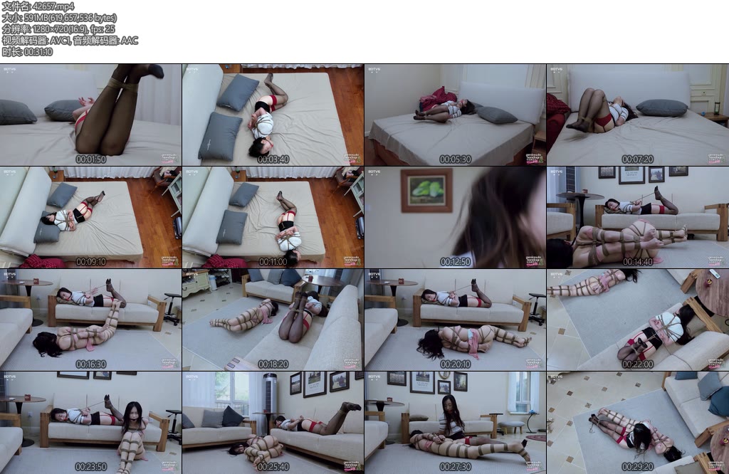 [半岛束艺] 白鲸奎因每人都有一个守护灵-丝依依