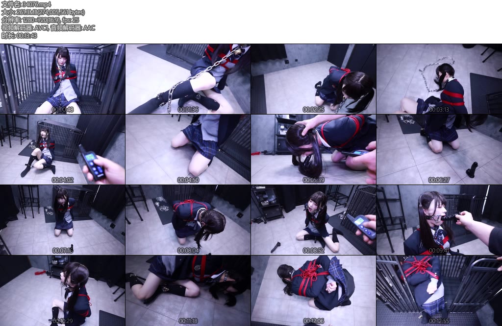 [D-Lemon] 制服電気首輪調教-丝依依