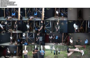 [一绳有你] 巾帼三英为了信仰不怕各种酷刑拷打威逼引诱三姐妹誓死不屈被敌人小树林秘密枪决壮烈牺牲-丝依依