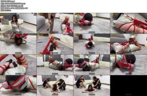 [金宝原创] 迷晕捆绑游戏全集下-丝依依