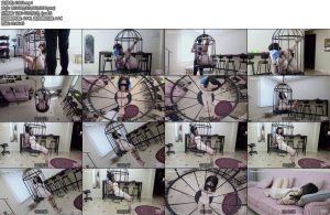 [半岛束艺] 酒精说了一下午梦话-丝依依