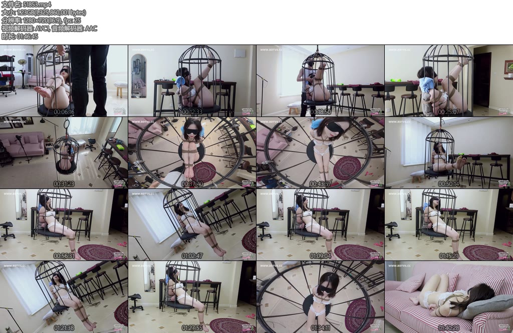 [半岛束艺] 酒精说了一下午梦话-丝依依