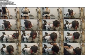 [新秄工作室] vina驷马放置-丝依依