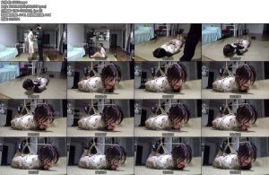 [子衿原创] 清月五花驷马马具口球放置-丝依依