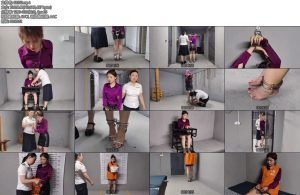 [鑫鑫原创] 一名女子被抓捕她反抗并质问为何被抓在到达审讯室后女子被要求坐下并配合问询她自称是白新瑶但随后被改名为李夕瑶并承认自己是办公室主任-丝依依