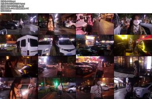 [亚洲绳艺] 神作全吧最强繁华路段龟甲游街惊呆路人-丝依依