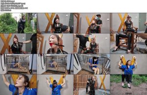 [李大侠] 特战行动外传之女匪末日-丝依依