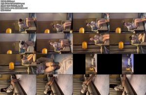 [暗河原创] 夫人海航空姐制-丝依依