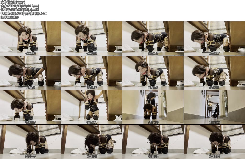 [亚洲绳艺] 伪娘周周K9调教-丝依依