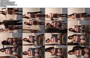 [随心原创] 冉冉丰满女秘求绑-丝依依