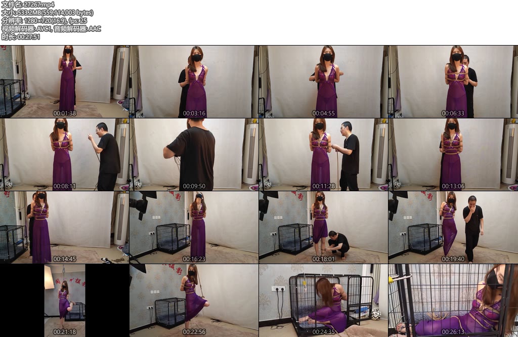 [随心原创] 艾琳 紫色纱衣与笼子 丁字裤单腿吊-丝依依