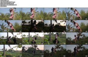 [半岛束艺] 椰子椰林奇遇-丝依依