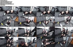 [D-Lemon] ヒトイヌ歩行訓練complete plan-丝依依