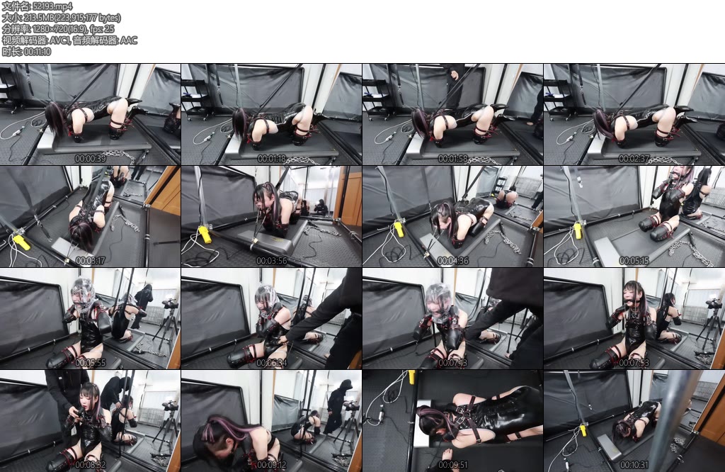 [D-Lemon] ヒトイヌ歩行訓練complete plan-丝依依