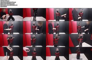 [D-Lemon] Durianラバー緊縛バルーン調教Special Plan 啊嘞？今天是要拍绳缚教程咩？红绳配黑胶真的好好看捏…欸那根长长的是什么东西-丝依依