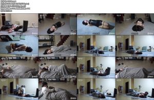 [半岛束艺] 忙了一年，半岛家的一切生物都睡着了-丝依依