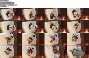 [亚洲绳艺] 丝带后高手折腿郊狼电击最后手动强高-丝依依