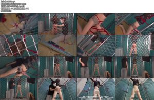 [面具原创] 超美伪娘努努笼中电击榨取训练惩戒订拍的金主任务居然不能够完成那就别怪我不客气了笼中强制开腿榨干电击鞭打-丝依依