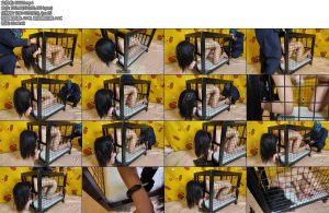 [道士下山] 绝望的笼子囚禁虐待头脚固定卡紧折磨皮鞭tk双腿夹头震动棒用力摇摆双脚固定刚赛吸乃器最可怕的电击全程哀嚎声不断放出来的一瞬间全身颤抖最后采访-丝依依