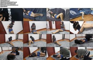 [奥特曼] 微剧情被小偷盯上的瑜玉-丝依依