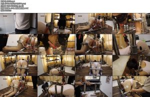 [路由原创] 静止一天-丝依依