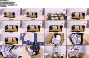 [嗷大喵] 快递惊魂开门回家看到一个箱子还有动静开启开关原来里面装了个妹妹一段时间后开始开箱视频绑手绑脚内置双-丝依依