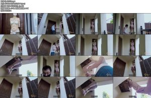 [半岛束艺] 拉丁？看门丁？-丝依依