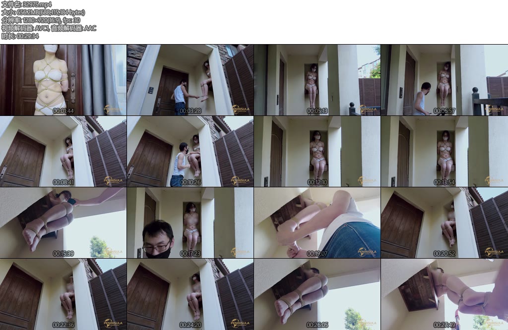 [半岛束艺] 拉丁？看门丁？-丝依依