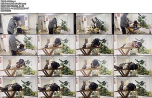 [奥特曼] JK后手观音驷马放置马具口球强制抬头-丝依依