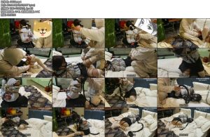 [亚洲绳艺] 绝望的防毒面具和窒息狂魔-丝依依