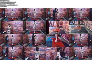 [飞天原创] 妍儿站立电击特邀请电气工作人员为妍儿奴设计一款脚踩式郊狼自动电击开关又把乳jia高高吊起来-丝依依