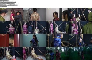 [一绳有你] 风云年代两位女地下被捕后被卧底女军统审讯鞭打不小心暴露身份三人被用刑不屈服傍晚时刻小树林枪决-丝依依