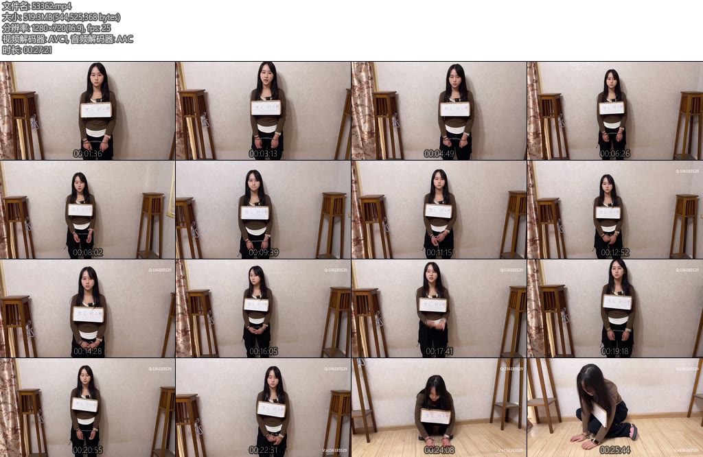 [龙飞原创] 犯人刘小丽诈骗犯罪之路提审询问宣判枪决新人大学生小白-丝依依