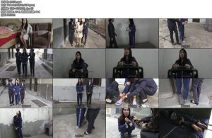 [梨花雨] 情殇雇佣检验男友真心的女死囚-丝依依