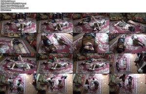 [胜景影视] 绑票夜女郎 两女郎再去上班的路上被两绑匪给劫持-丝依依