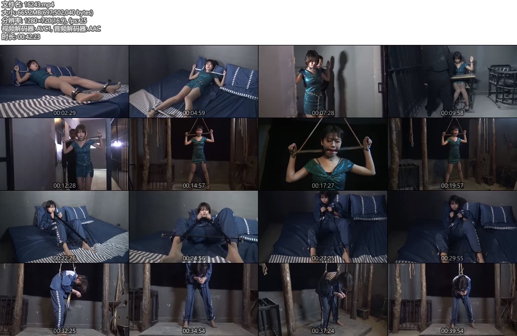 [胜景影视] 镣铐女犯（第二集）-丝依依